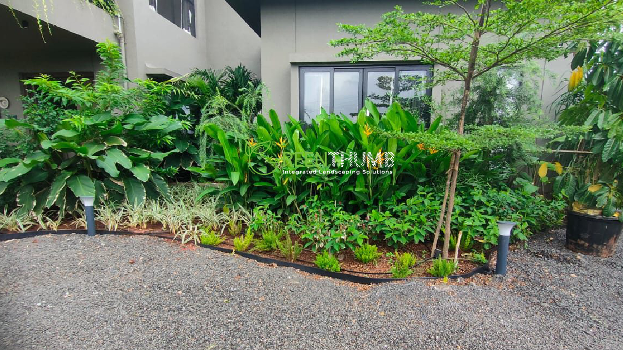 Courtyard garden design by Rane's Green Thumb, Alibag