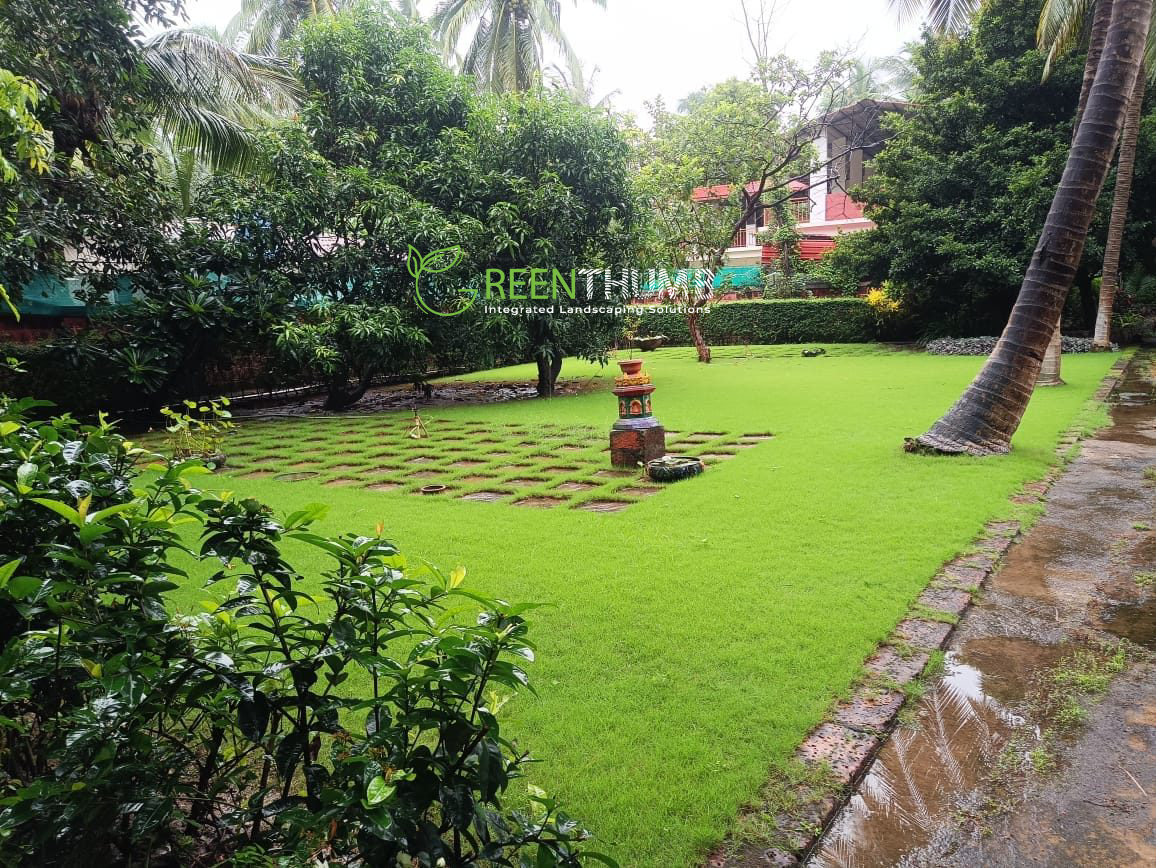 Estate landscaping project at Alibag villa