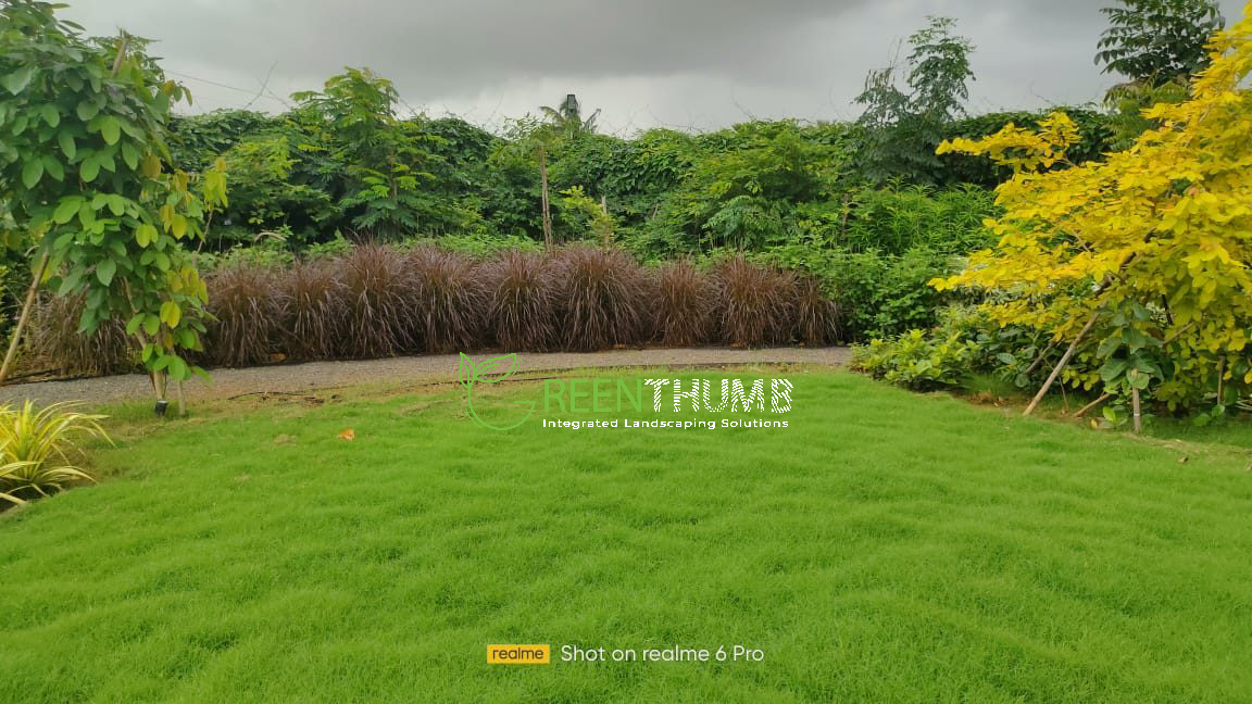 Flowering garden care by Rane's Green Thumb, Alibag