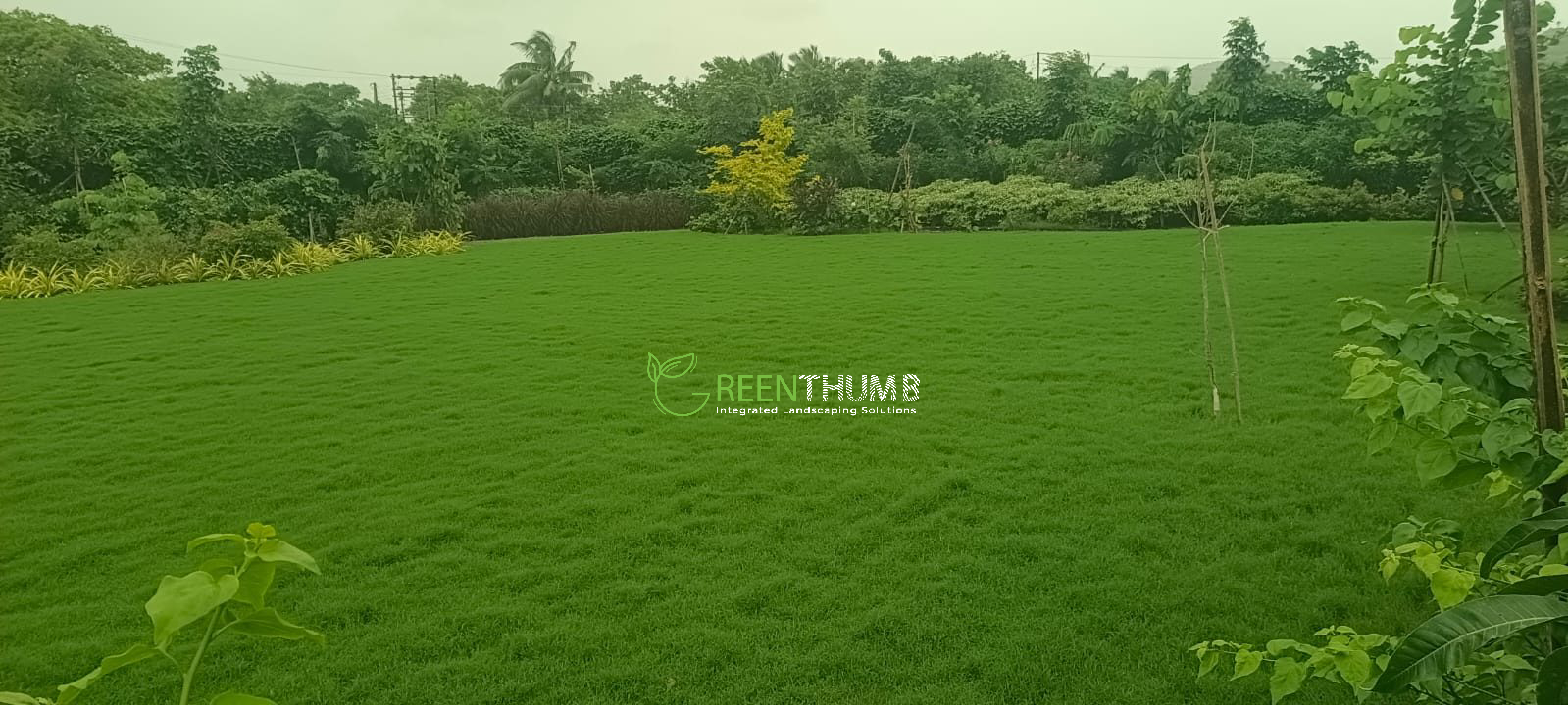 Organic kitchen garden design in Alibag