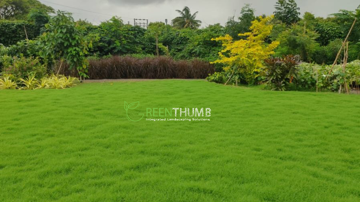 Ornamental garden upkeep for estate in Raigad