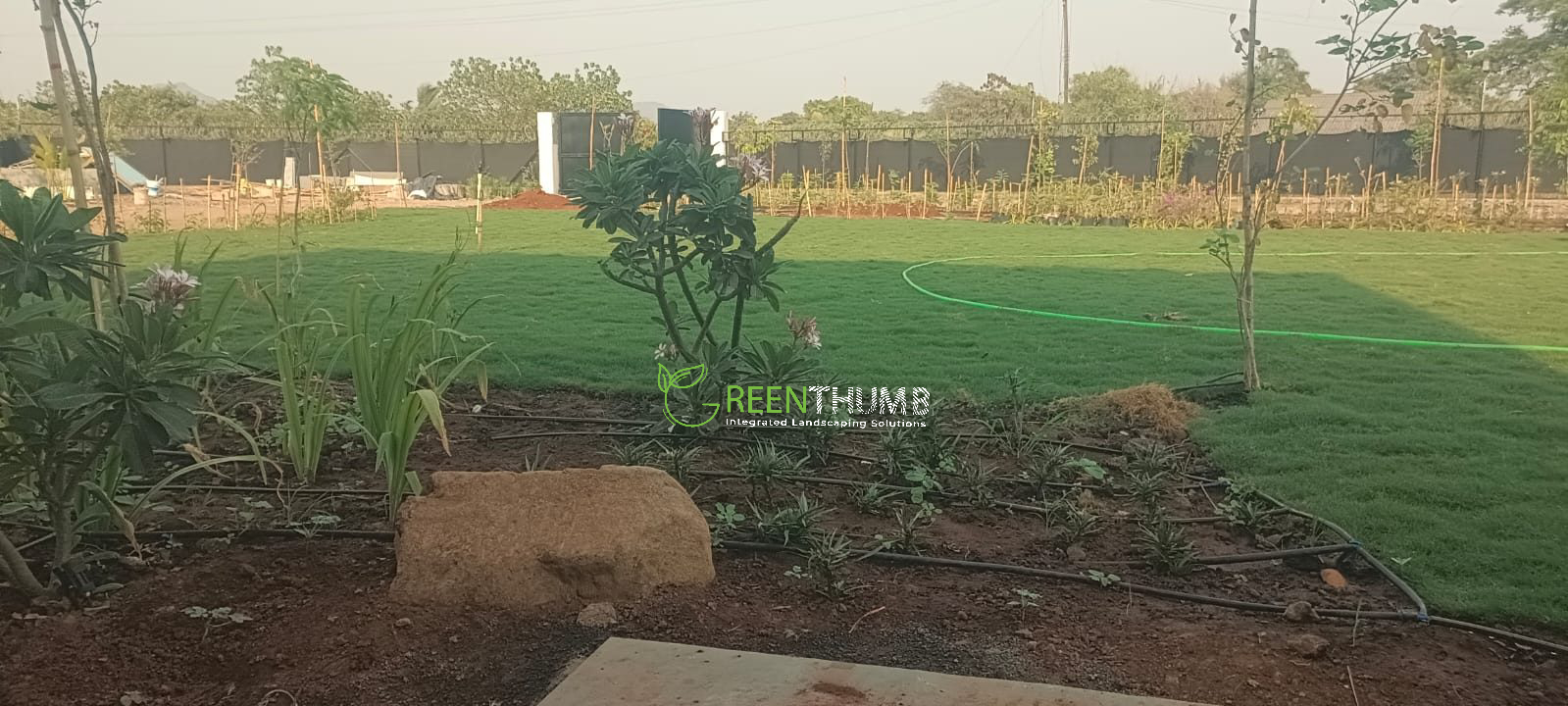 Poolside planting at a luxury villa in Alibag